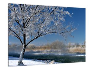 Slika - smrznuti zimski krajolik