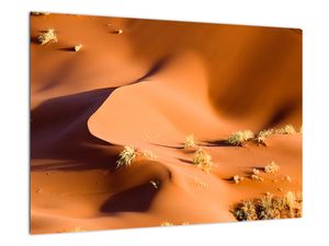 Slika - pustinjske dine